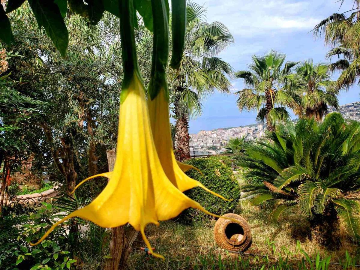 Villa Kristiano 21 Sarandë Exteriér fotografie